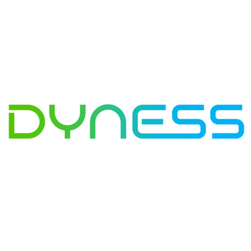 Dyness Batteries