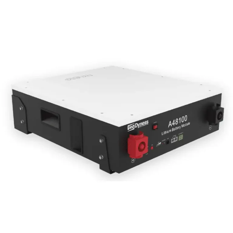Dyness Lithium Ion 4.8kW Battery